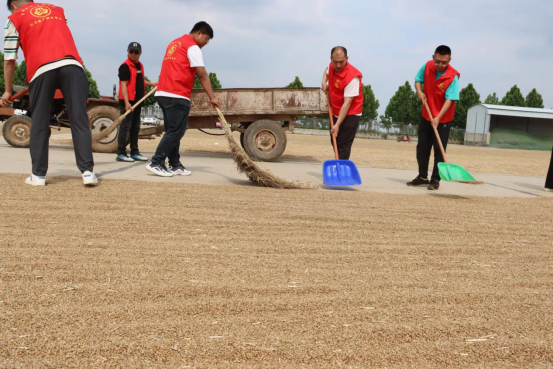 6.2展現國企責任擔當 全力助民搶收夏糧（新聞稿）206.png